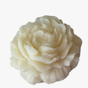 Flor Peonia